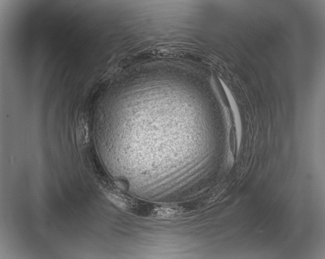 X0000082950703200702152240