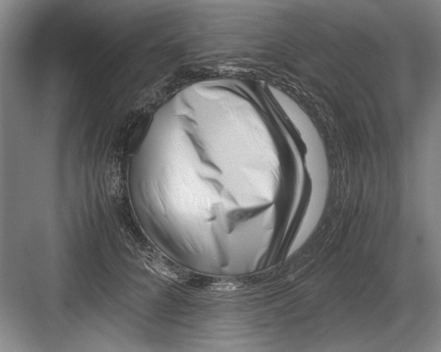 X0000082950704200702152240