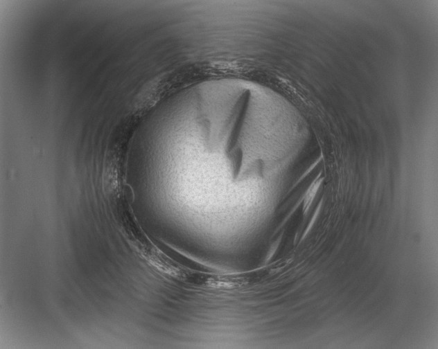 X0000082950706200702152240