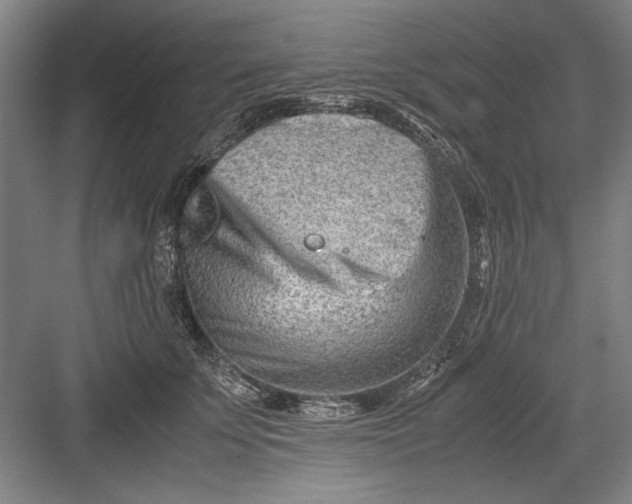 X0000082950707200702152240