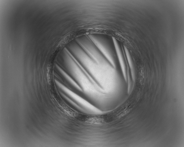 X0000082950708200702152240