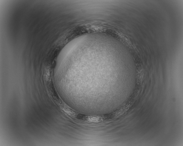 X0000082950709200702152240