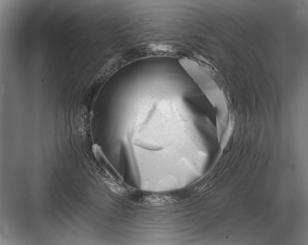 X0000082950712200702152240