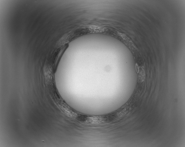 X0000082950713200702152240