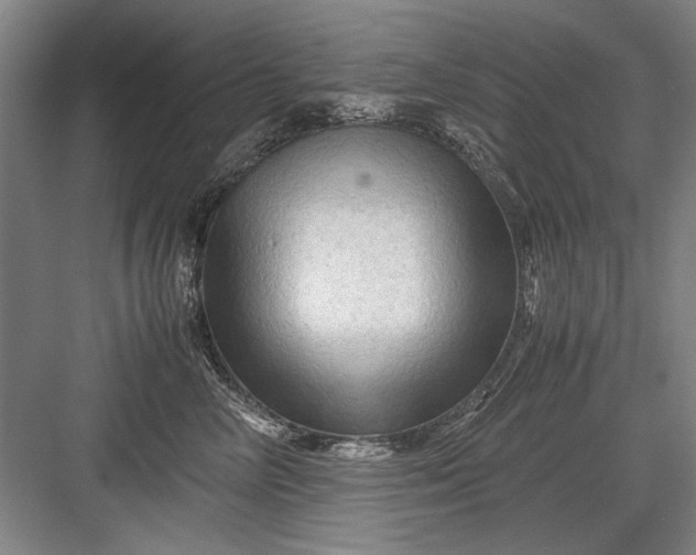 X0000082950714200702152240