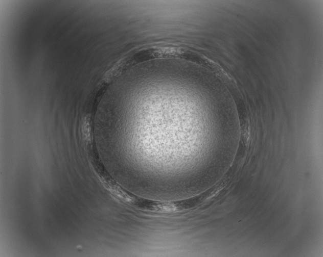 X0000082950715200702152240