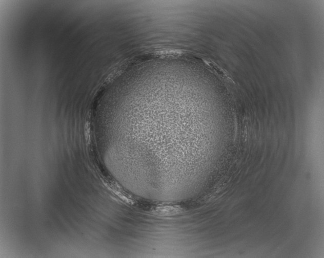 X0000082950716200702152240