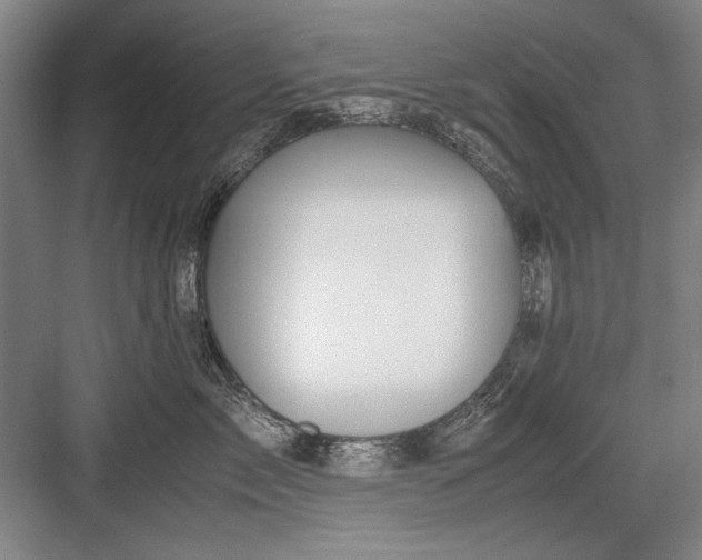 X0000082950717200702152240