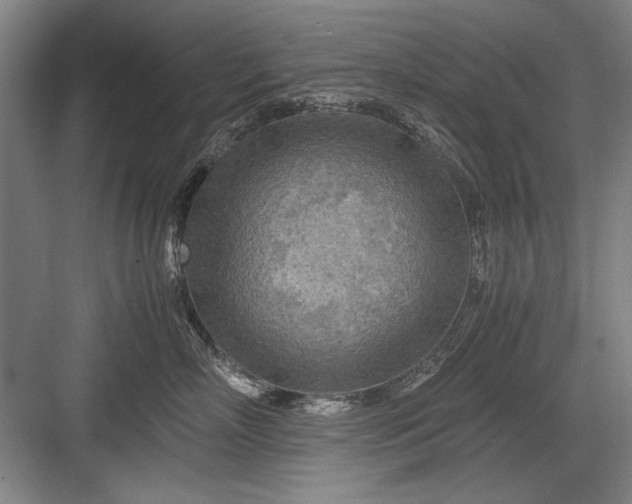 X0000082950718200702152240