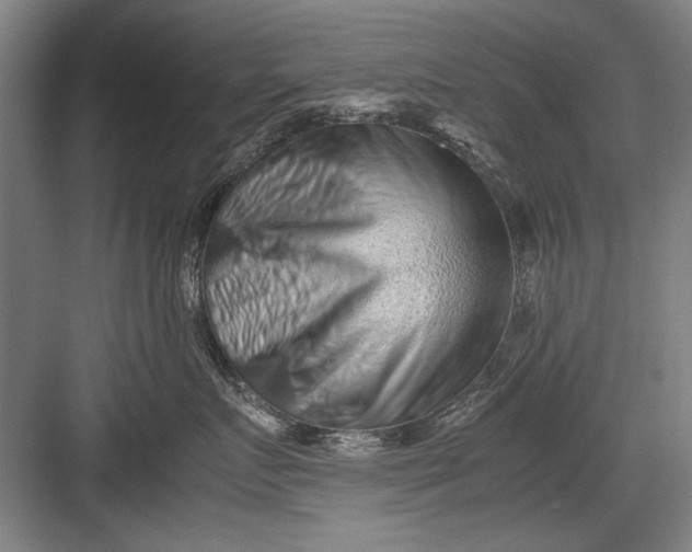 X0000082950719200702152240