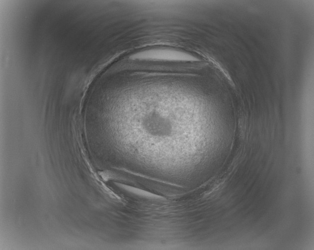 X0000082950721200702152239