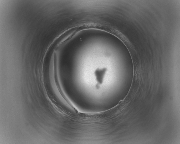 X0000082950722200702152239