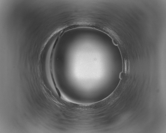 X0000082950723200702152239