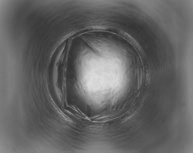 X0000082950725200702152239