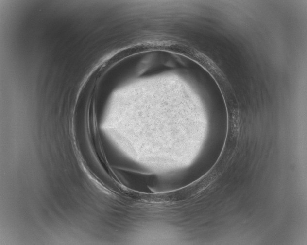 X0000082950726200702152239