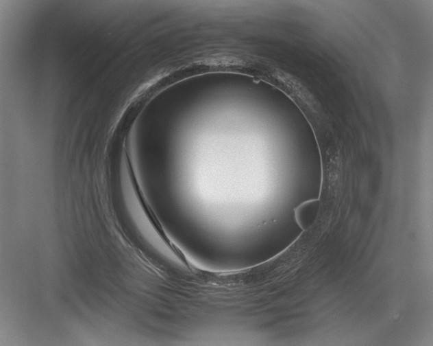 X0000082950727200702152239