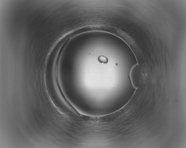 X0000082950728200702152239