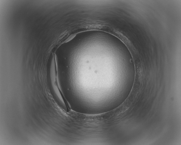 X0000082950729200702152239