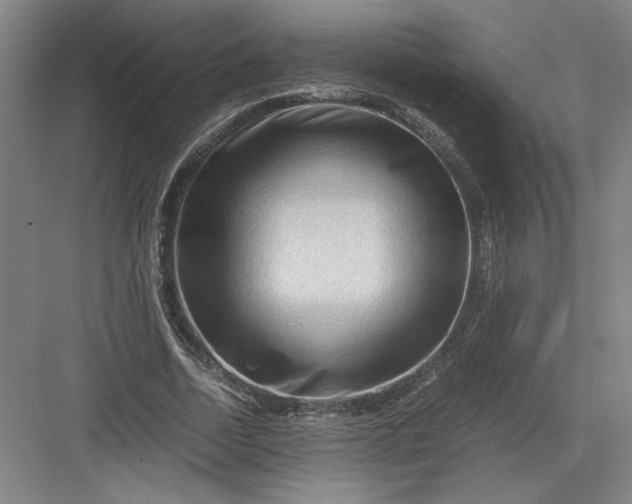 X0000082950730200702152239