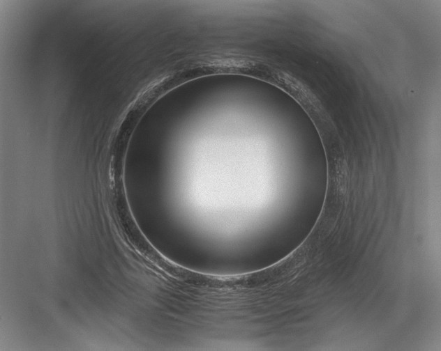 X0000082950731200702152239