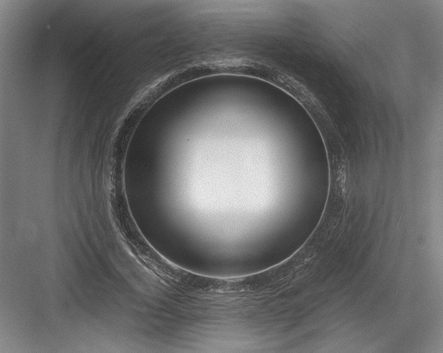 X0000082950732200702152239