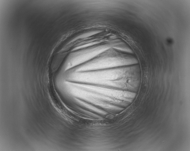 X0000082950734200702152239