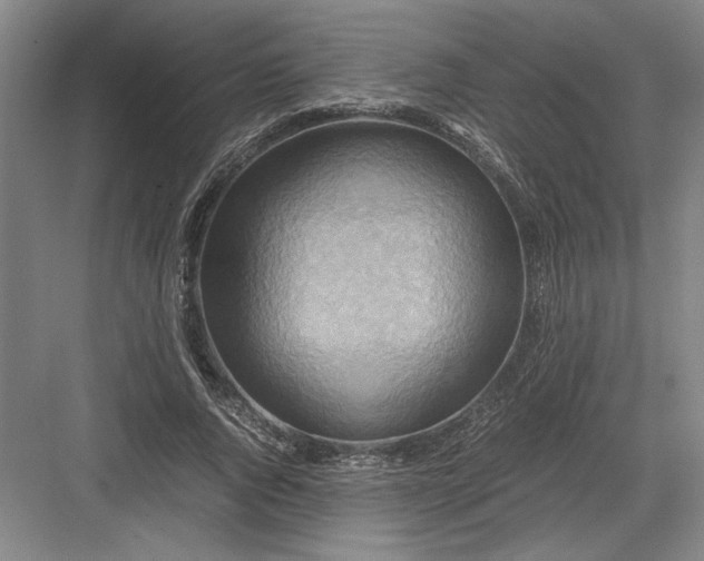 X0000082950736200702152239