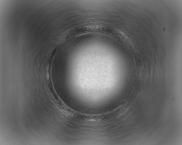 X0000082950737200702152239