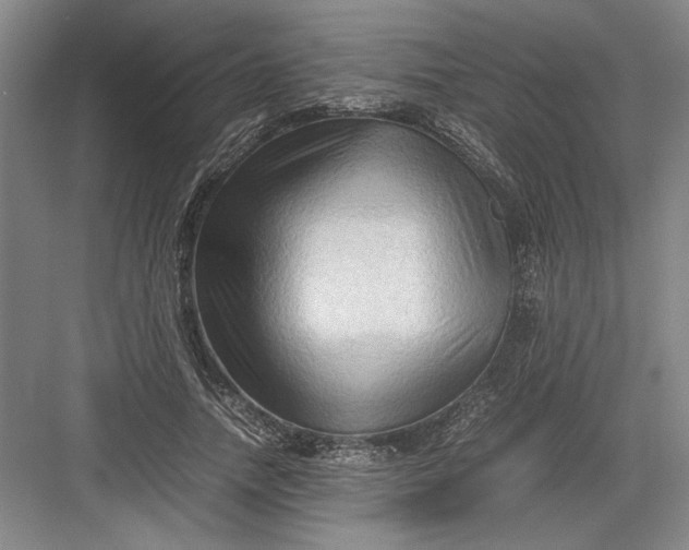 X0000082950738200702152239