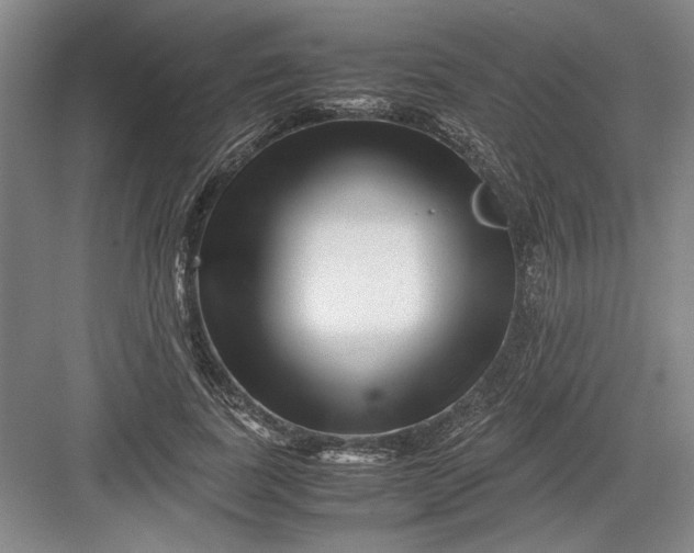 X0000082950739200702152239