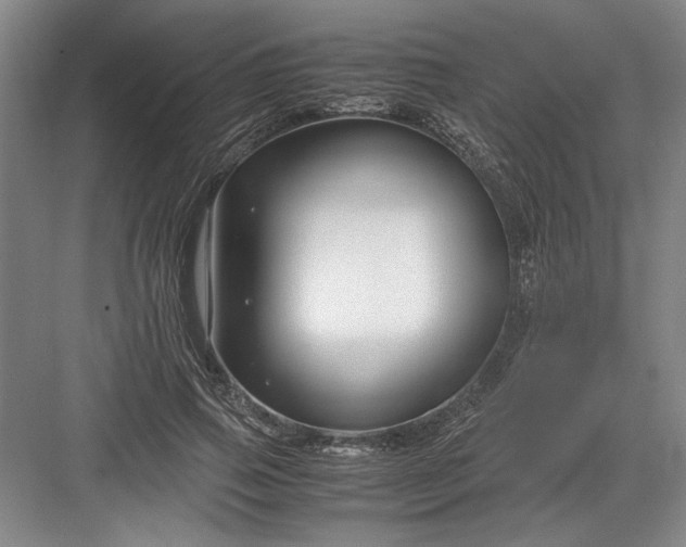 X0000082950741200702152239