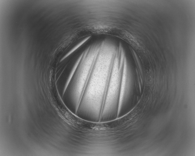 X0000082950742200702152239