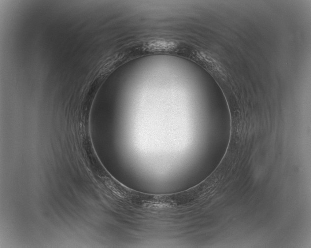 X0000082950743200702152239