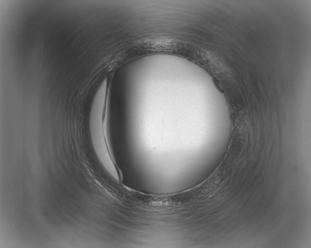 X0000082950744200702152239