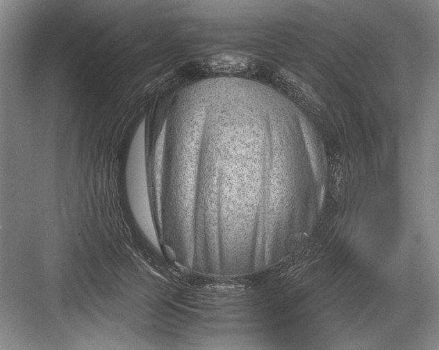 X0000082950745200702152239