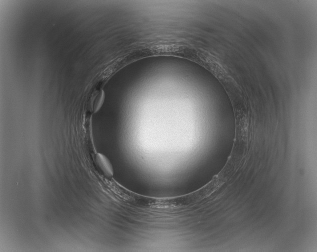 X0000082950746200702152239