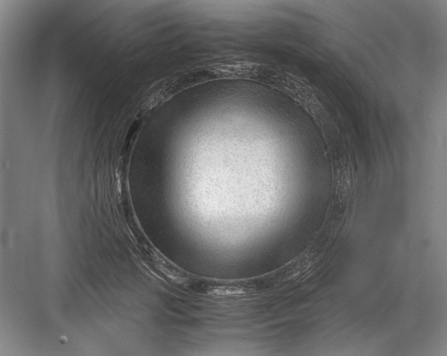 X0000082950749200702152239