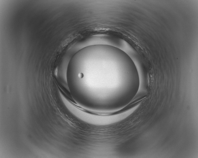 X0000082950750200702152239