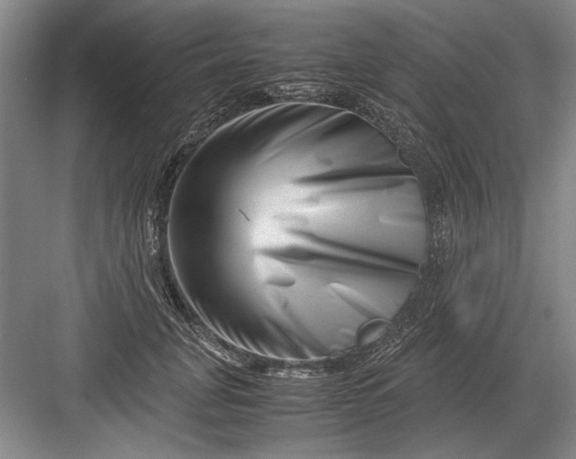 X0000082950751200702152239