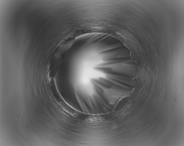 X0000082950752200702152239