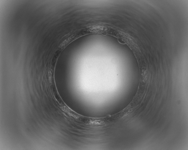 X0000082950753200702152239