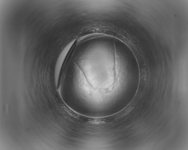 X0000082950754200702152239