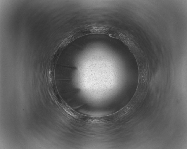 X0000082950755200702152239