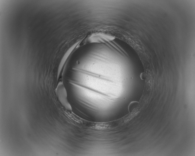 X0000082950758200702152240