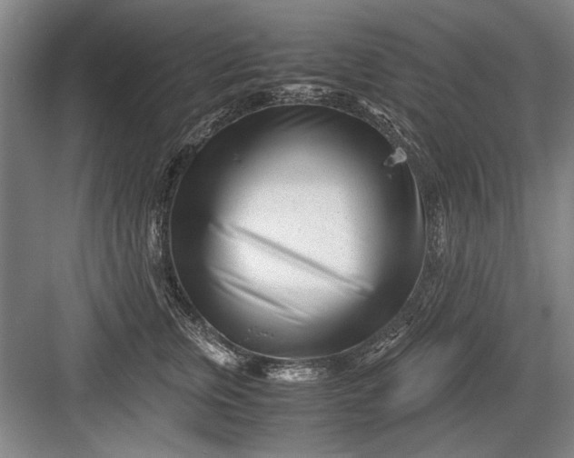 X0000082950759200702152240