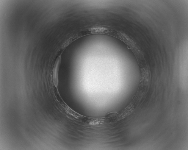 X0000082950761200702152240