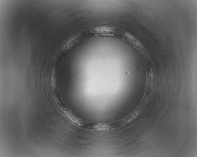 X0000082950762200702152240