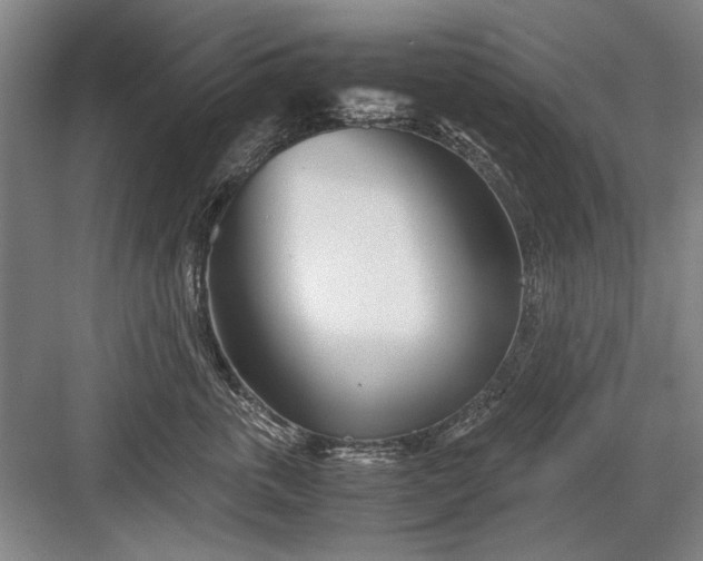 X0000082950763200702152240