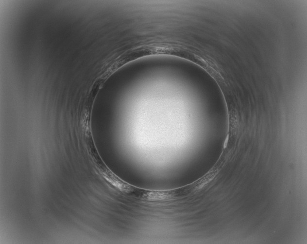 X0000082950766200702152240