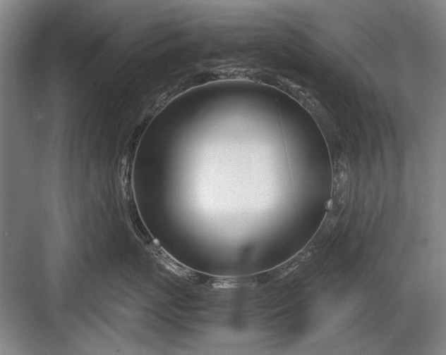 X0000082950767200702152240